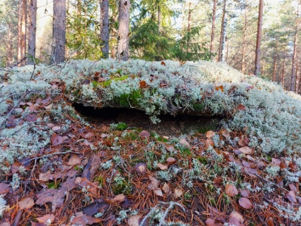 Rapakivinen suuaukko