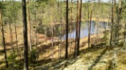 Maisema