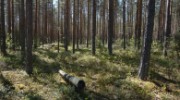 Tässä nautiskellaan